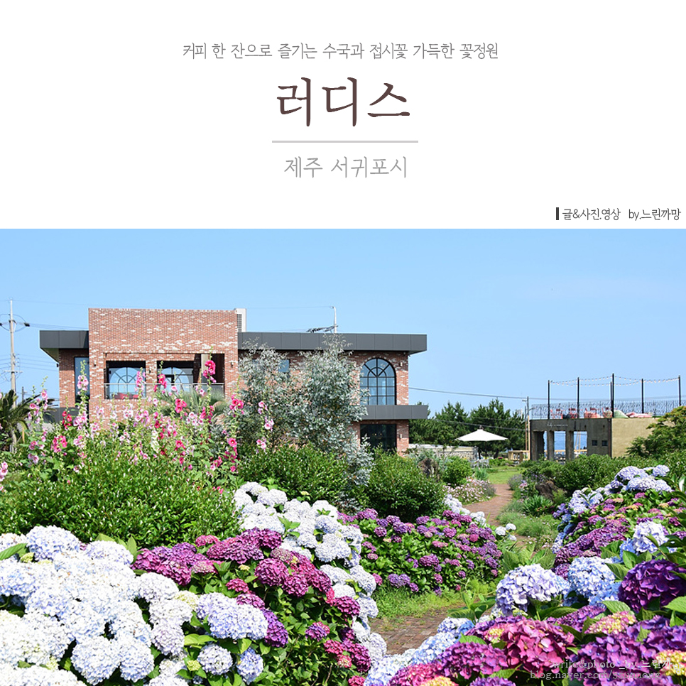 러디스