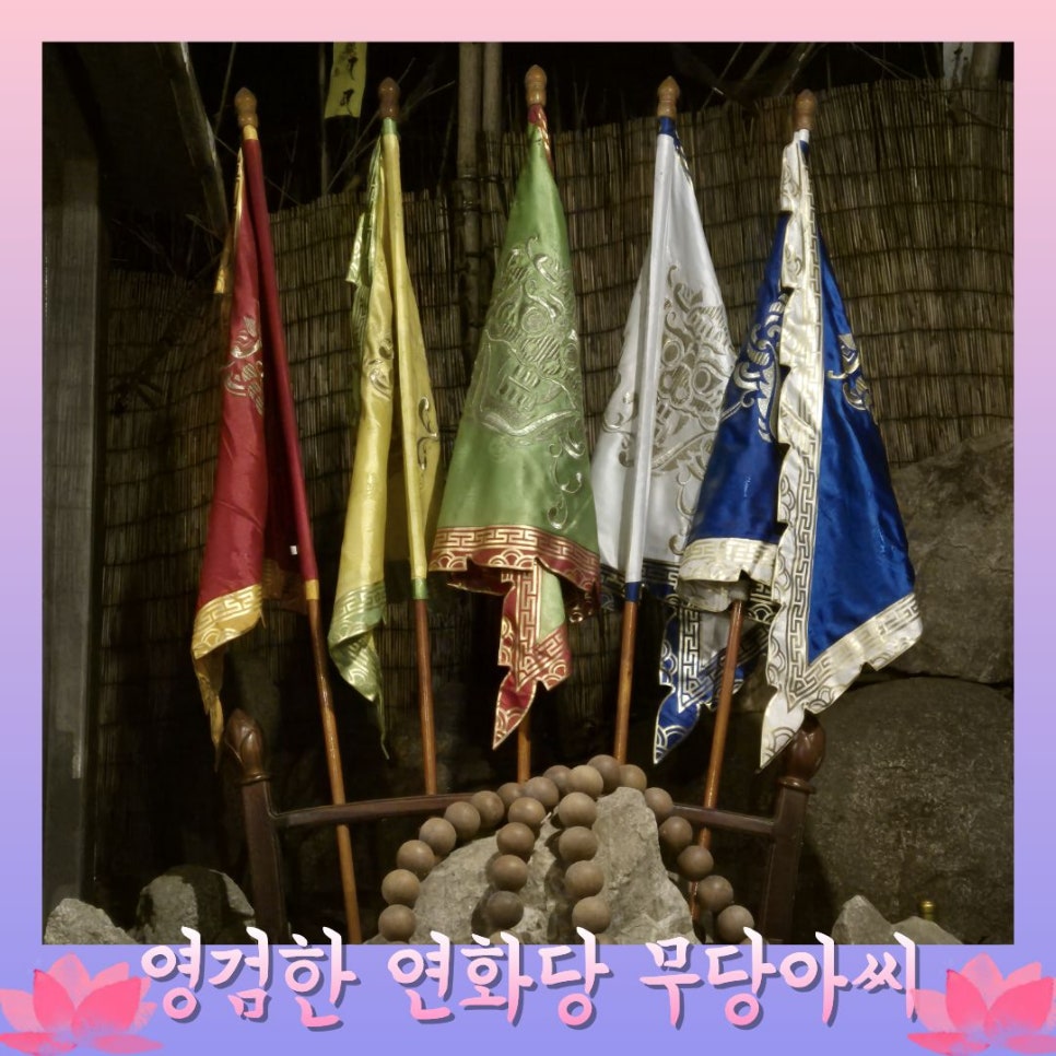 연화 사진 4