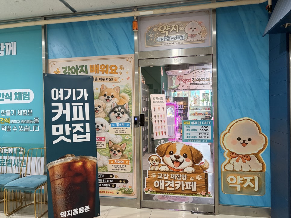 약지상주견애견카페 사진 1