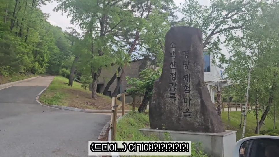 소백산자연휴양림 사진 4