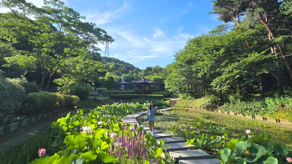 삼선산수목원 사진 6