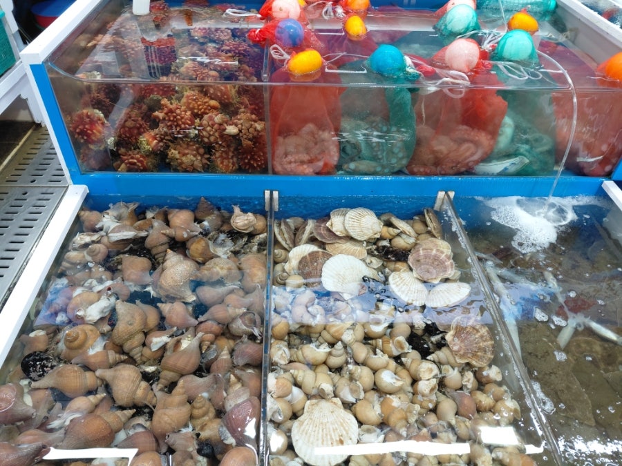 정라항활어회센터 사진 2
