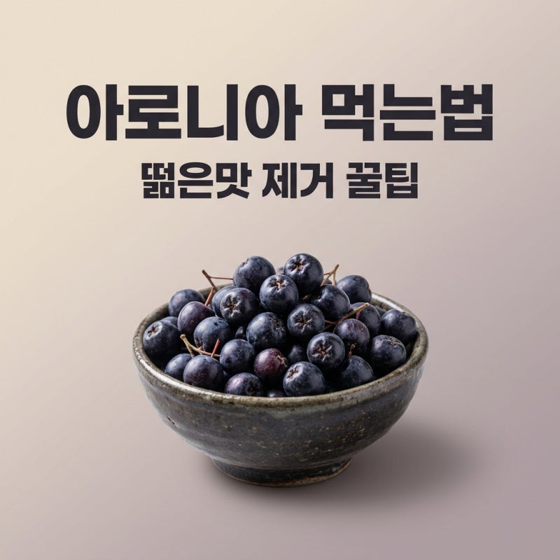 아로니아먹는법 떫은맛 없이 맛있게 즐기는 인플루언서 꿀팁