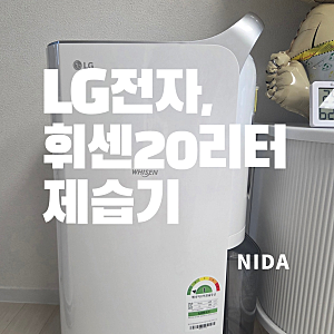 [LG전자]휘센20L제습기/DQ205PSVA 실버/내돈내산제습긴 완전 추천/LG전자제습기 성능 및 가격