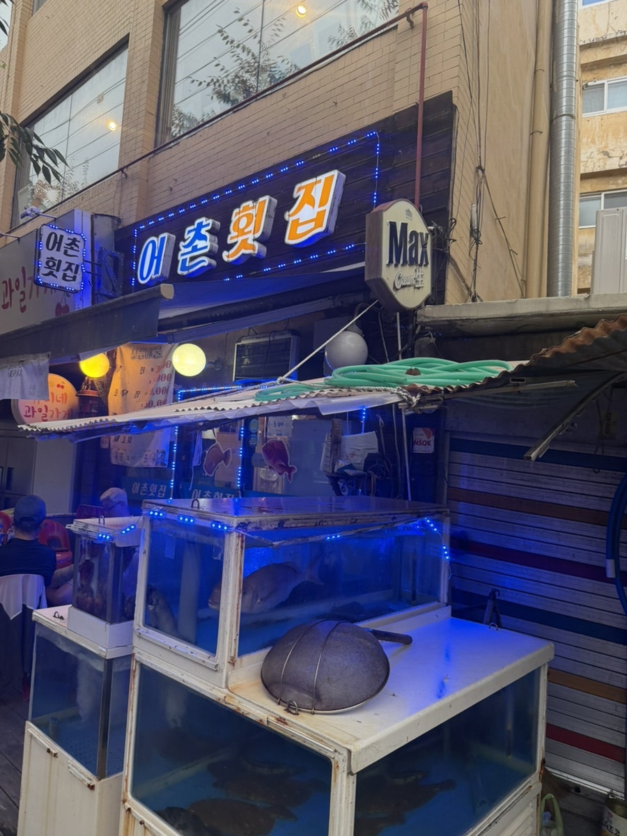 어촌횟집 사진 2