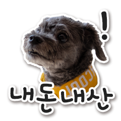 텐퍼센트커피 김포운양점 사진 2