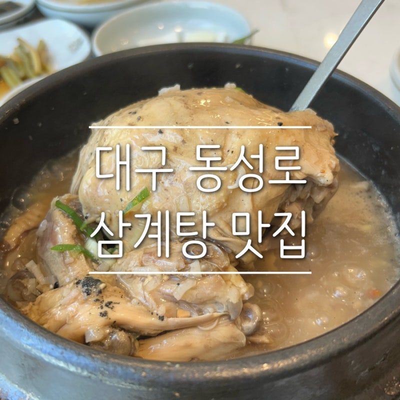 [대구] 대구 동성로 삼계탕 맛집 ‘더부자백숙 본점’ 후기