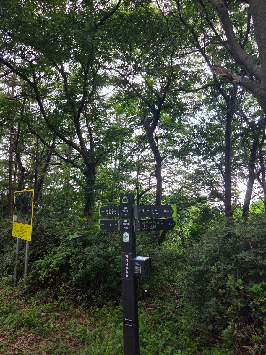 몽산 사진 3