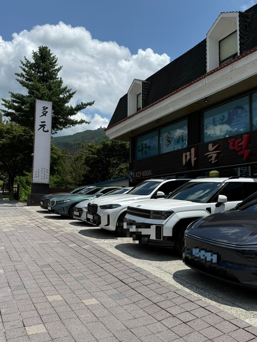 다원 사진 1