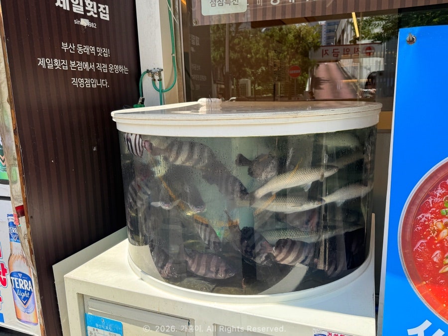 제일횟집 사진 3