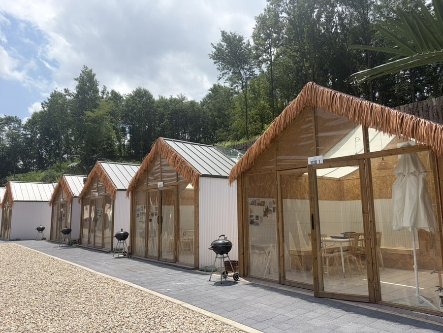 스타릿비치 사진 6