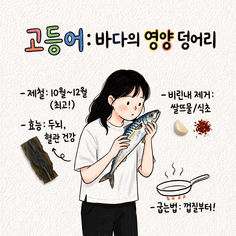 고등어 효능 제철 칼로리 손질 비린내제거 굽는법 냉동 해동 간고등어차이