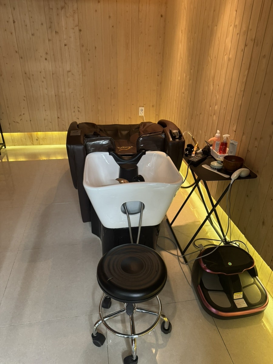 베르 사진 5