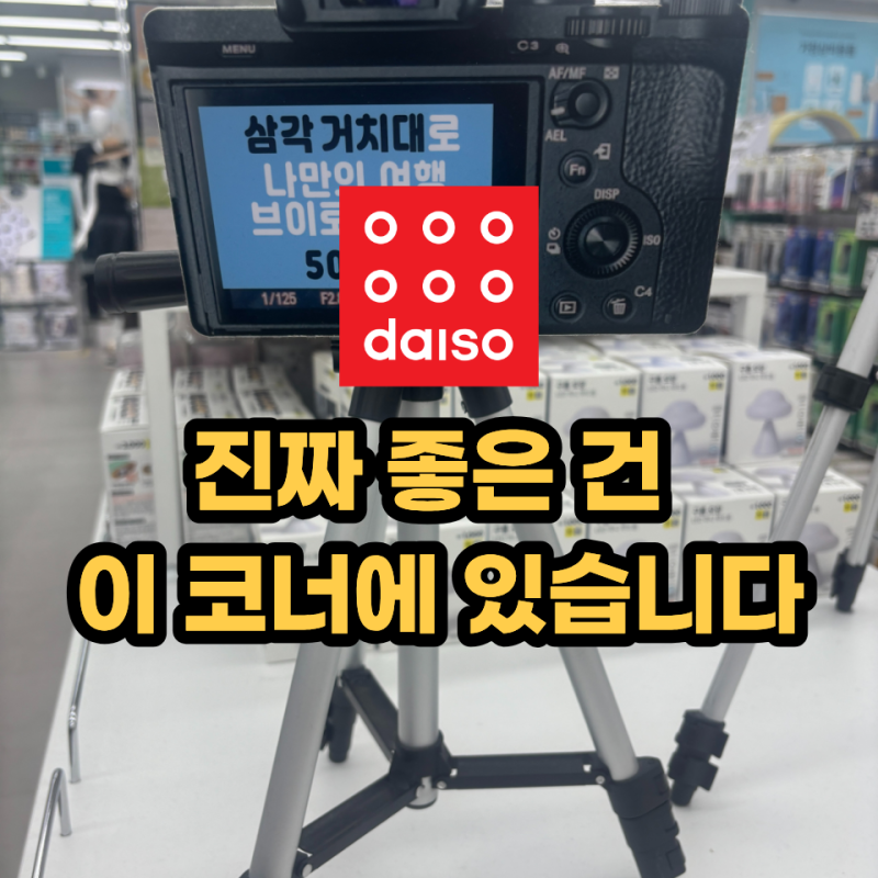 다들 모르고 지나칩니다 다이소 진짜 잇템은 "이 코너"에 있습니다