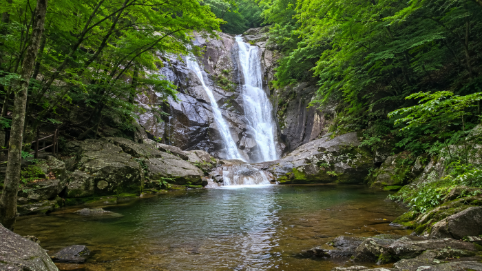 월하탄 사진 1