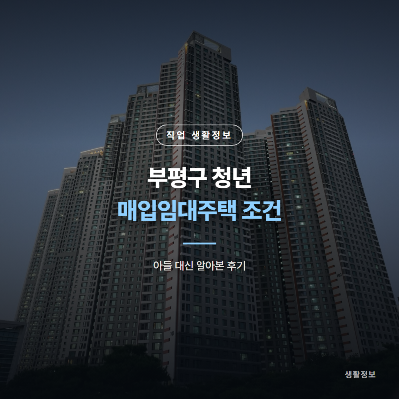 인천 부평구 청년 매입임대주택 조건, 아들 대신 알아본 후기