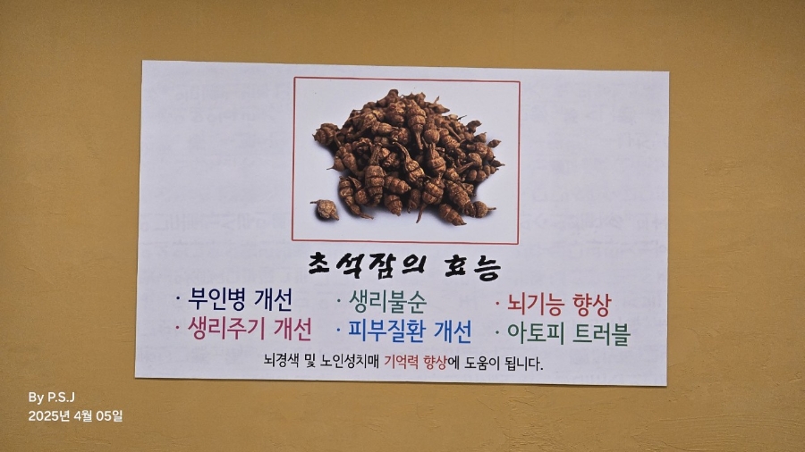 상황진삼계탕 사진 6