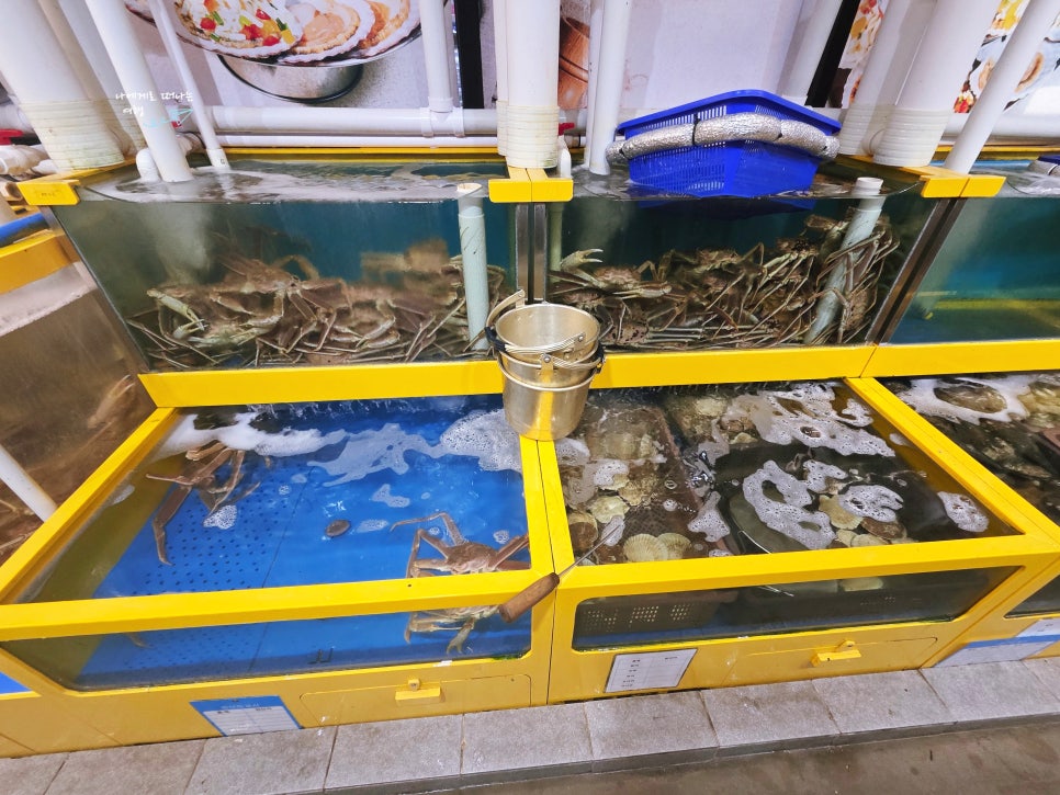 동해가리비 본점 사진 4
