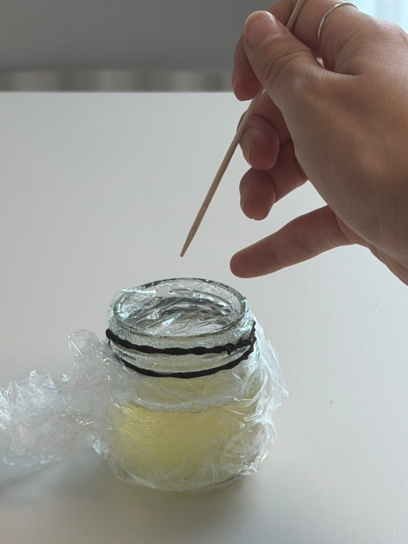 천연 초파리 트랩 효과 있을까? 직접 만들어본 솔직 후기