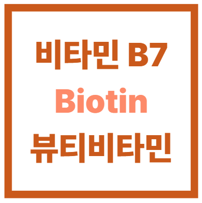 비타민 B7(Biotin) 풍성한 모발과 매끈한 피부를 완성하는 뷰티 비타민