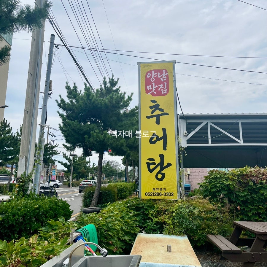 양남맛집 사진 2