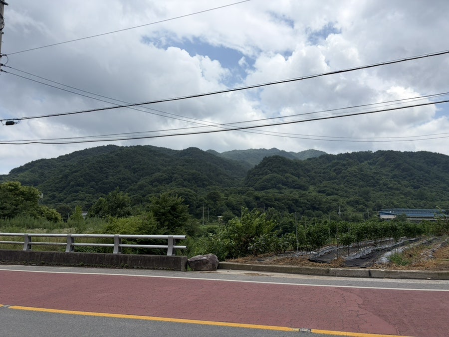 인풍정식당 사진 1
