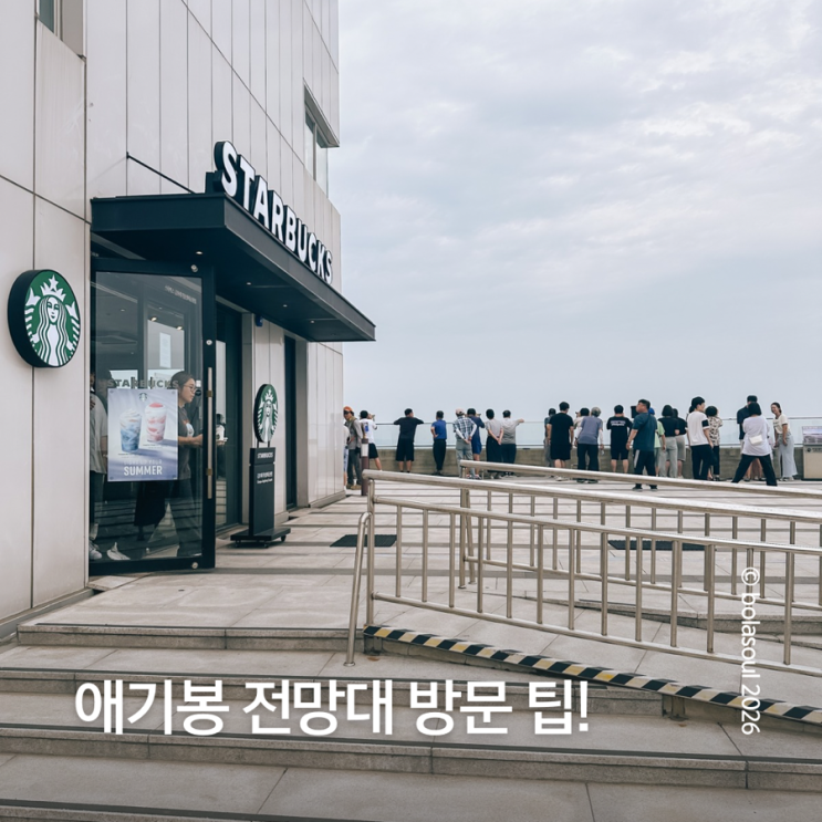 김포 <b>애기봉</b> 전망대 후기 | 예약방법, 주차, 스타벅스 총정리