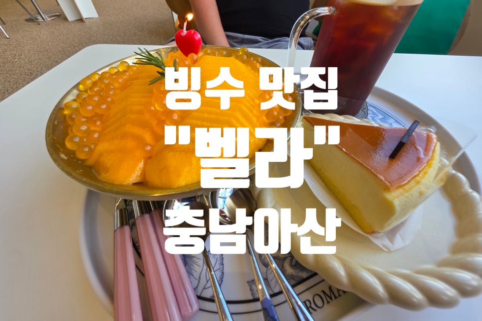 벨라 사진 5