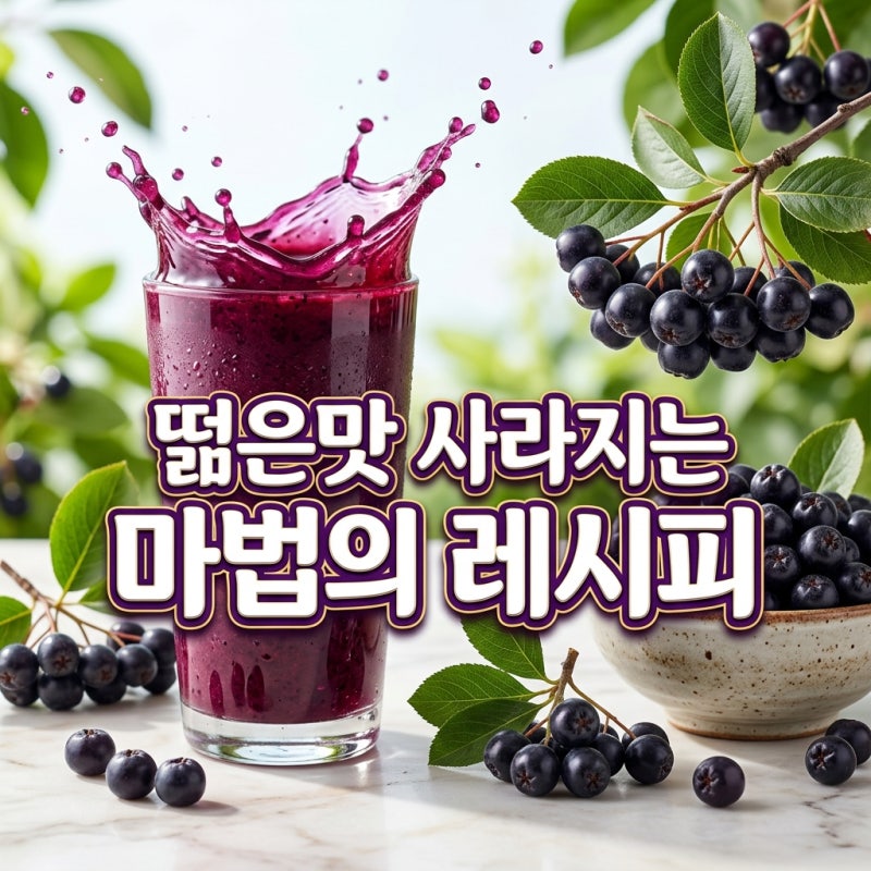 아로니아먹는법 떫은맛 잡고 제대로 즐기는 비법