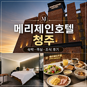 [청주 호텔] 청주 복대동 호텔 숙박, 조식 솔직 후기 - 메리제인호텔 -