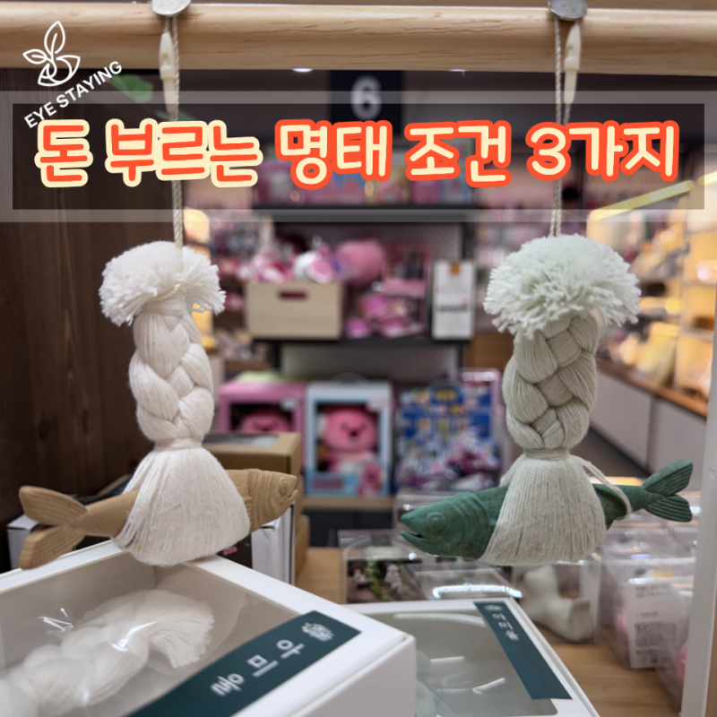 현관에 액막이 명태 걸기 전, 딱 세 가지만 보고 고르세요!