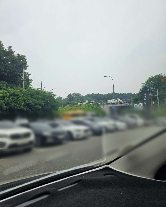 가파도청보리밥 사진 4