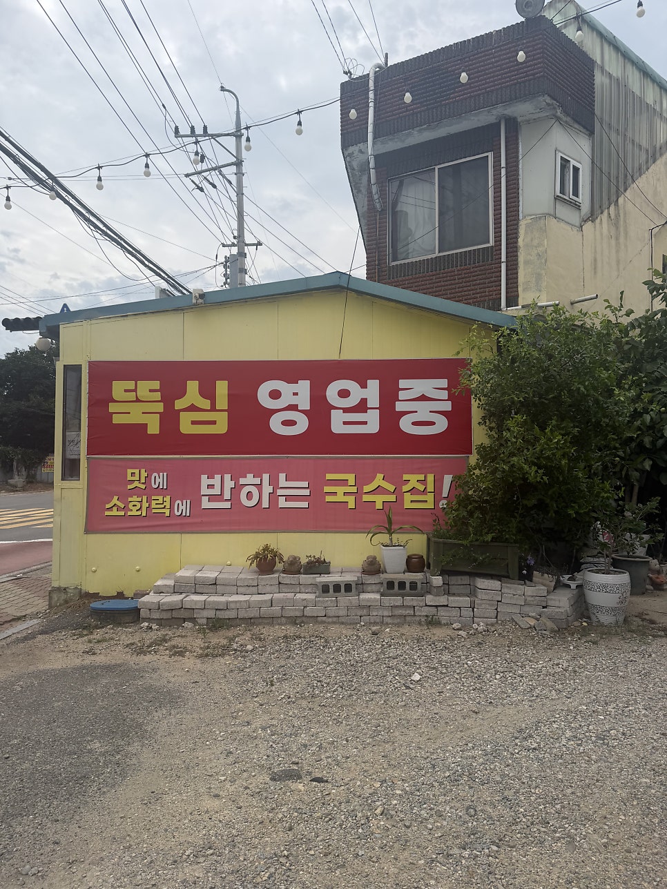 뚝심 사진 1