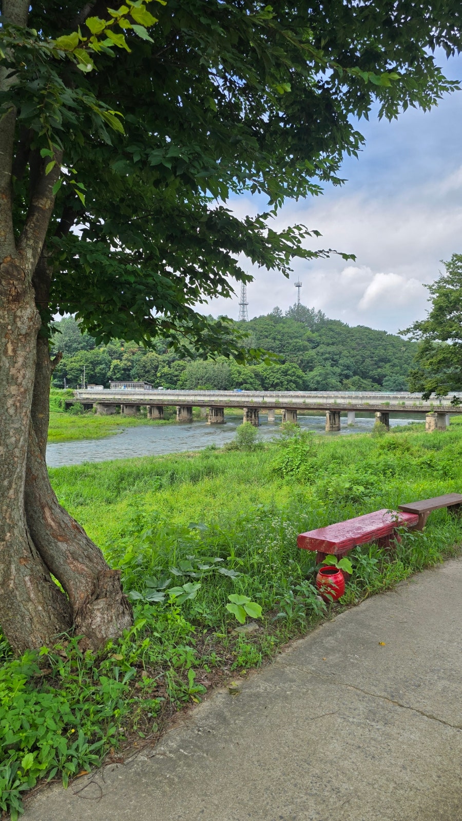 카페동키 사진 5