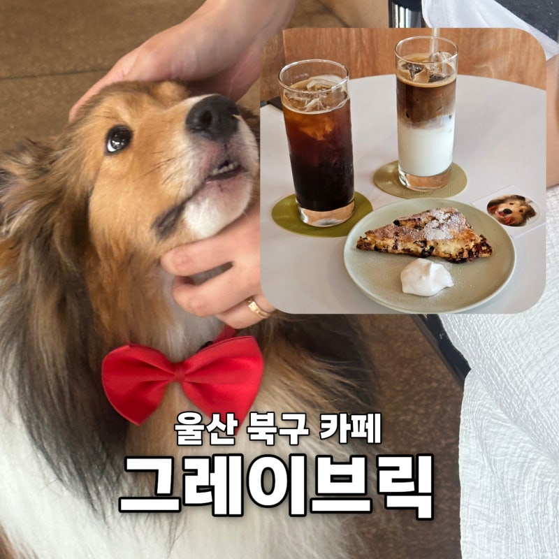 울산 북구 카페 그레이브릭 연암동 화봉동 애견동반 가능 조용한 커피 맛집