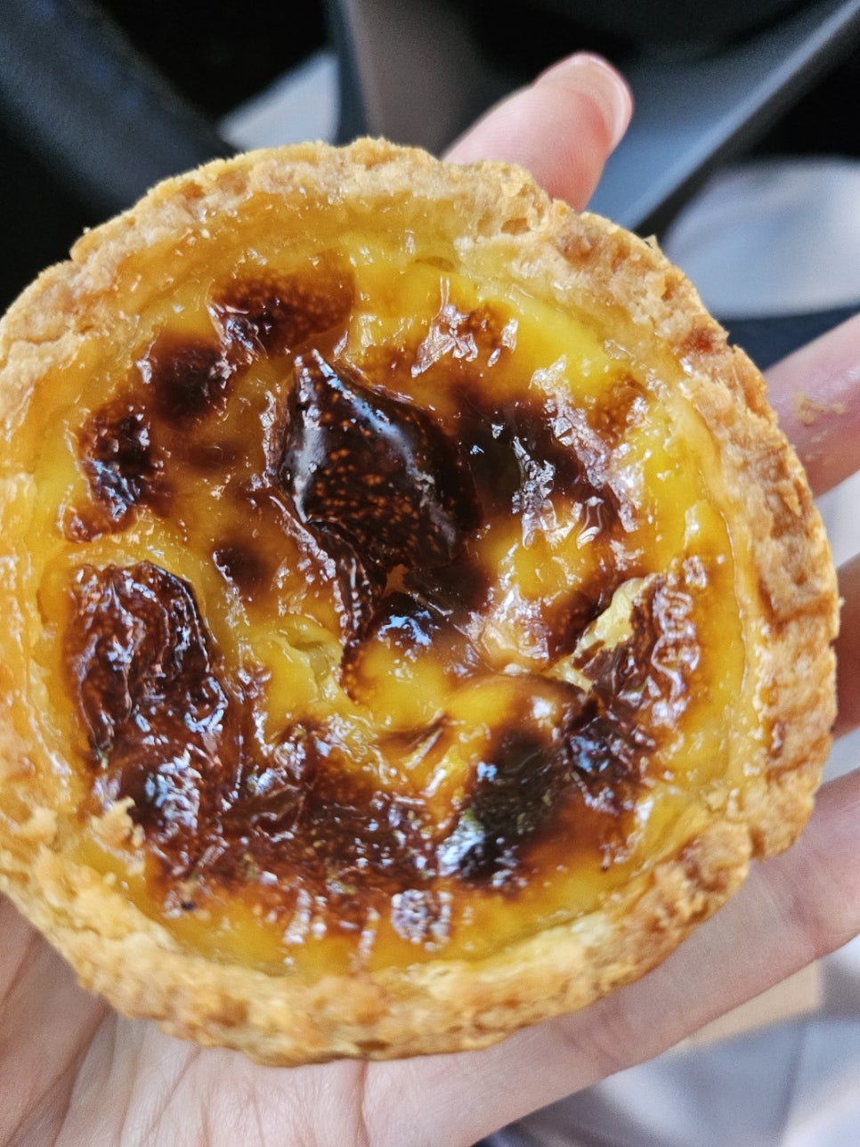 인비토 사진 3