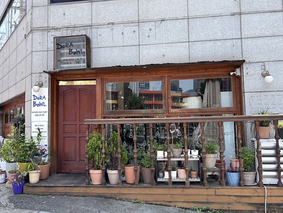 도라보울 사진 1