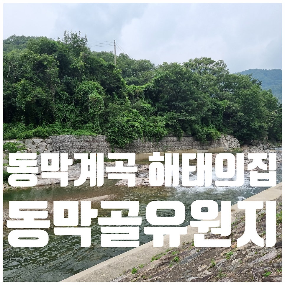 동막골유원지 사진 1