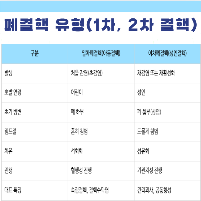 결핵 유형 종류 일차 아동 이차 성인 폐결핵