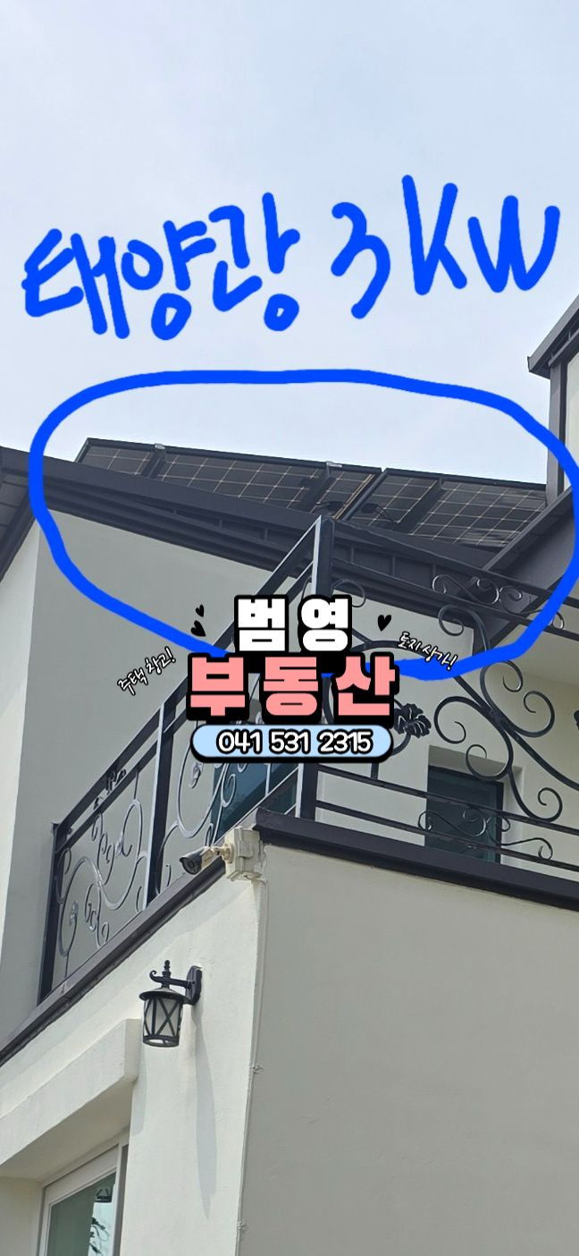 들꽃 사진 4