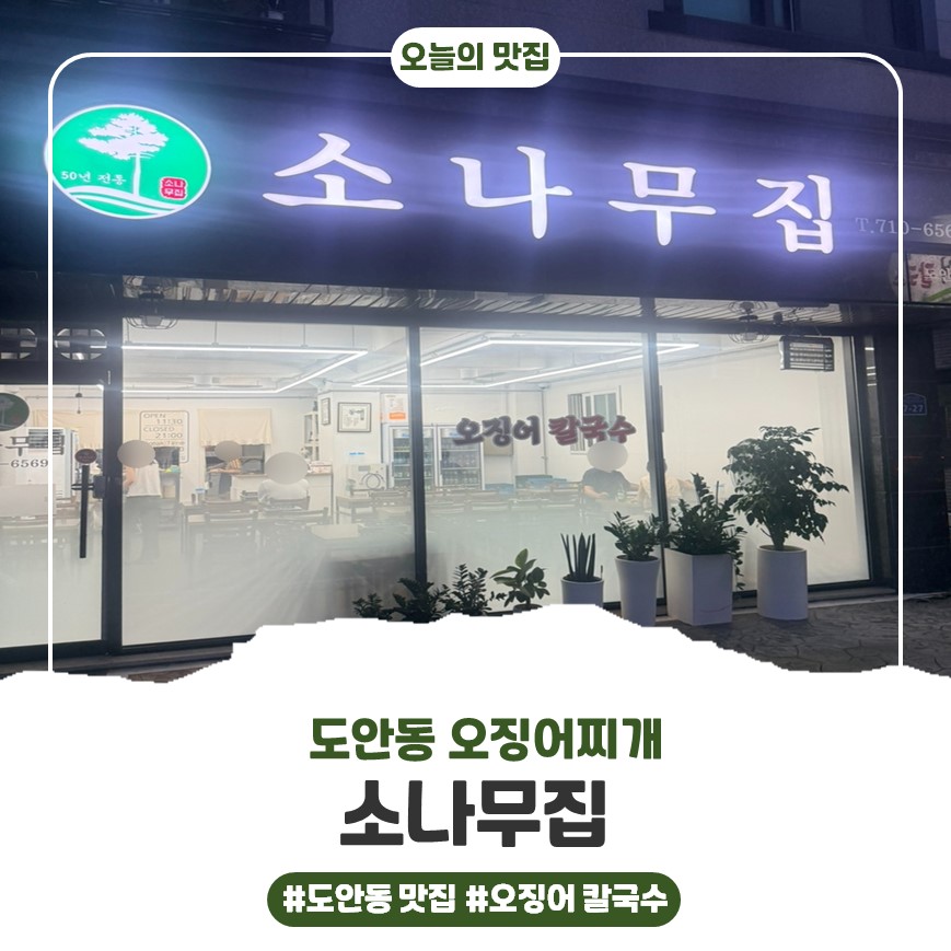소나무집 사진 1