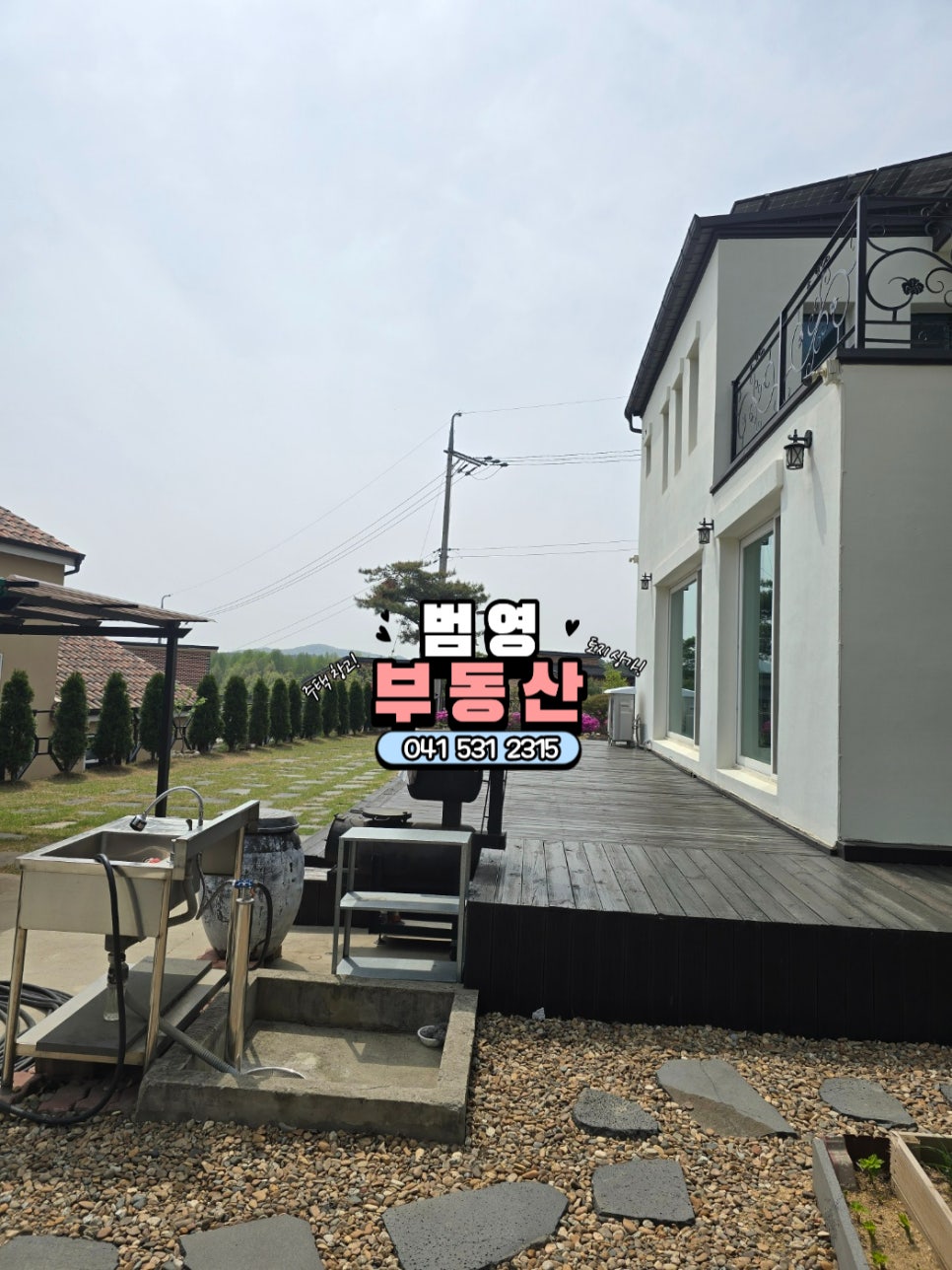 들꽃 사진 6