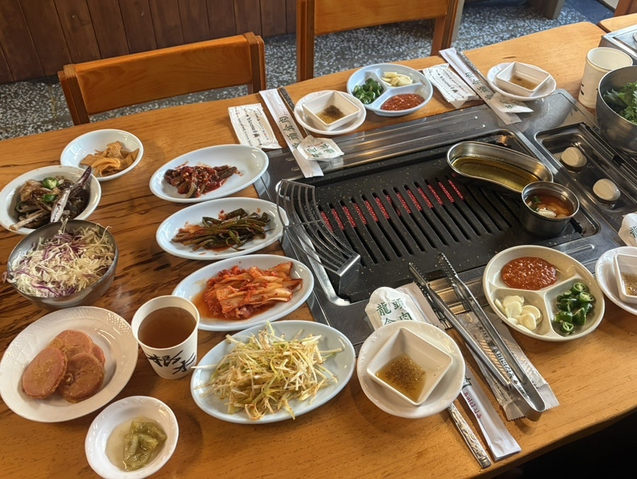 오리 사진 4