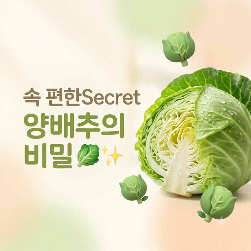 양배추 효능과 세척법과 보관법