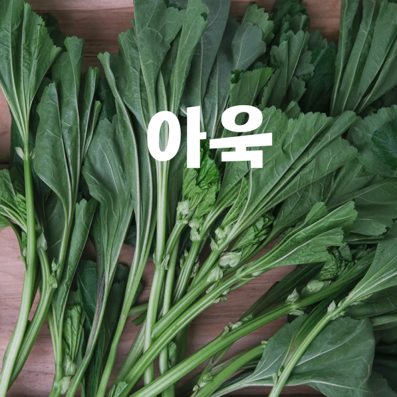 아욱 효능 8가지 | 손질법·고르는 법·보관법까지 한 번에 완벽 정리