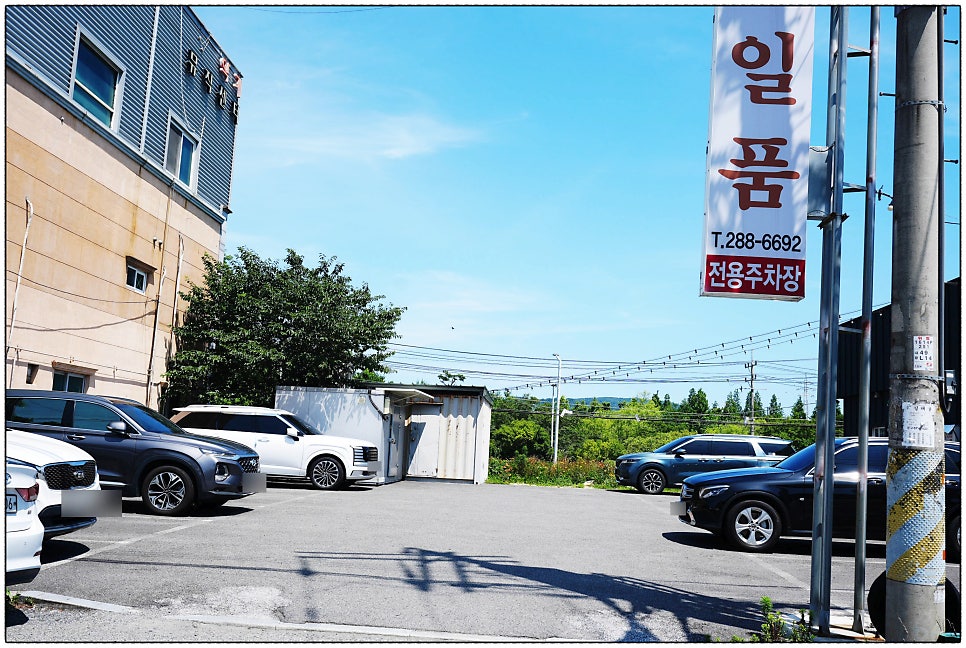 정일품 사진 3