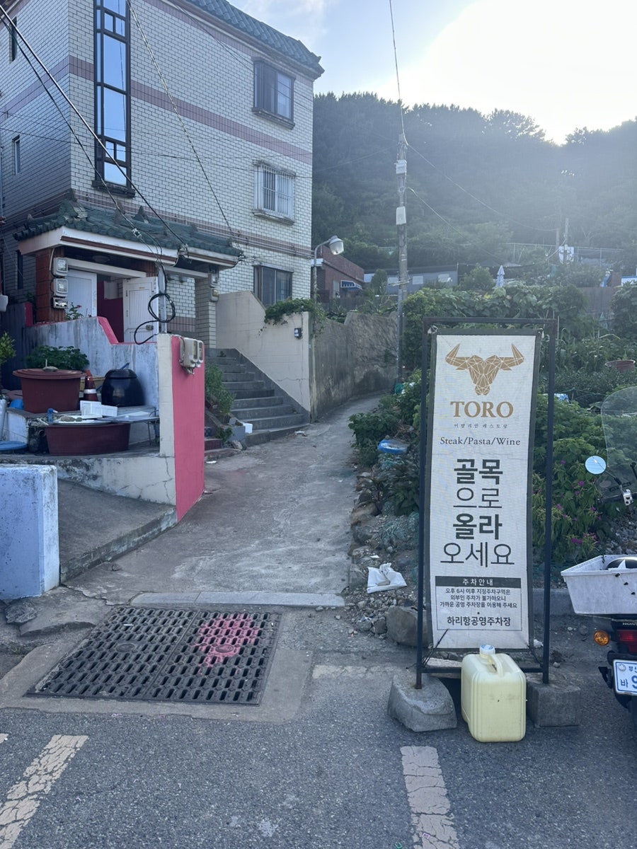 토로 사진 2