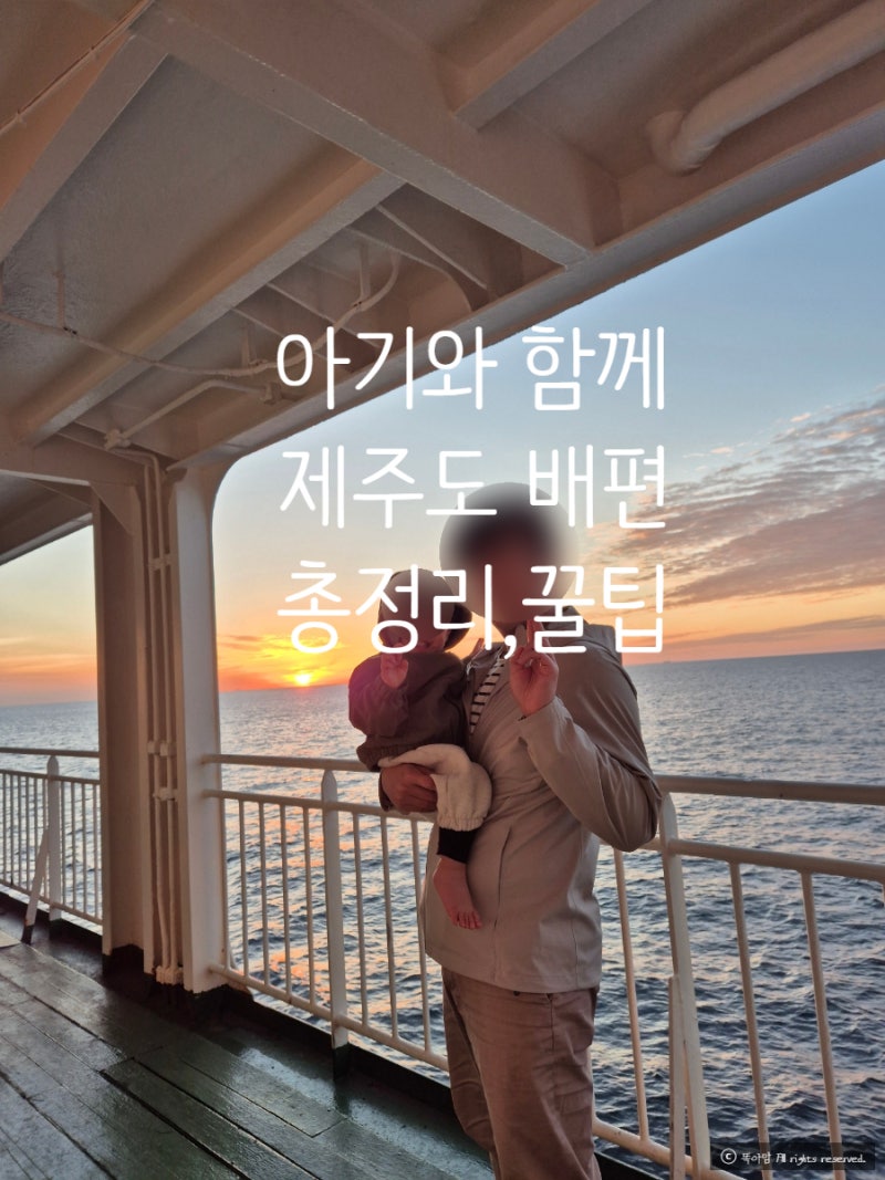 아기와 제주도 배편! 고흥 녹동항 아리온제주호 카니발 차량선적 요금 & 육아 꿀팁 (썬밸리리....