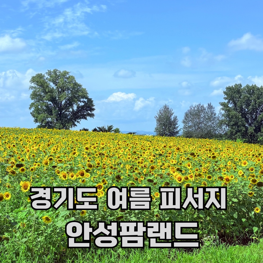 농협안성팜랜드 사진