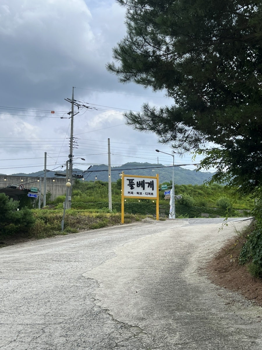 풀베개 사진 2